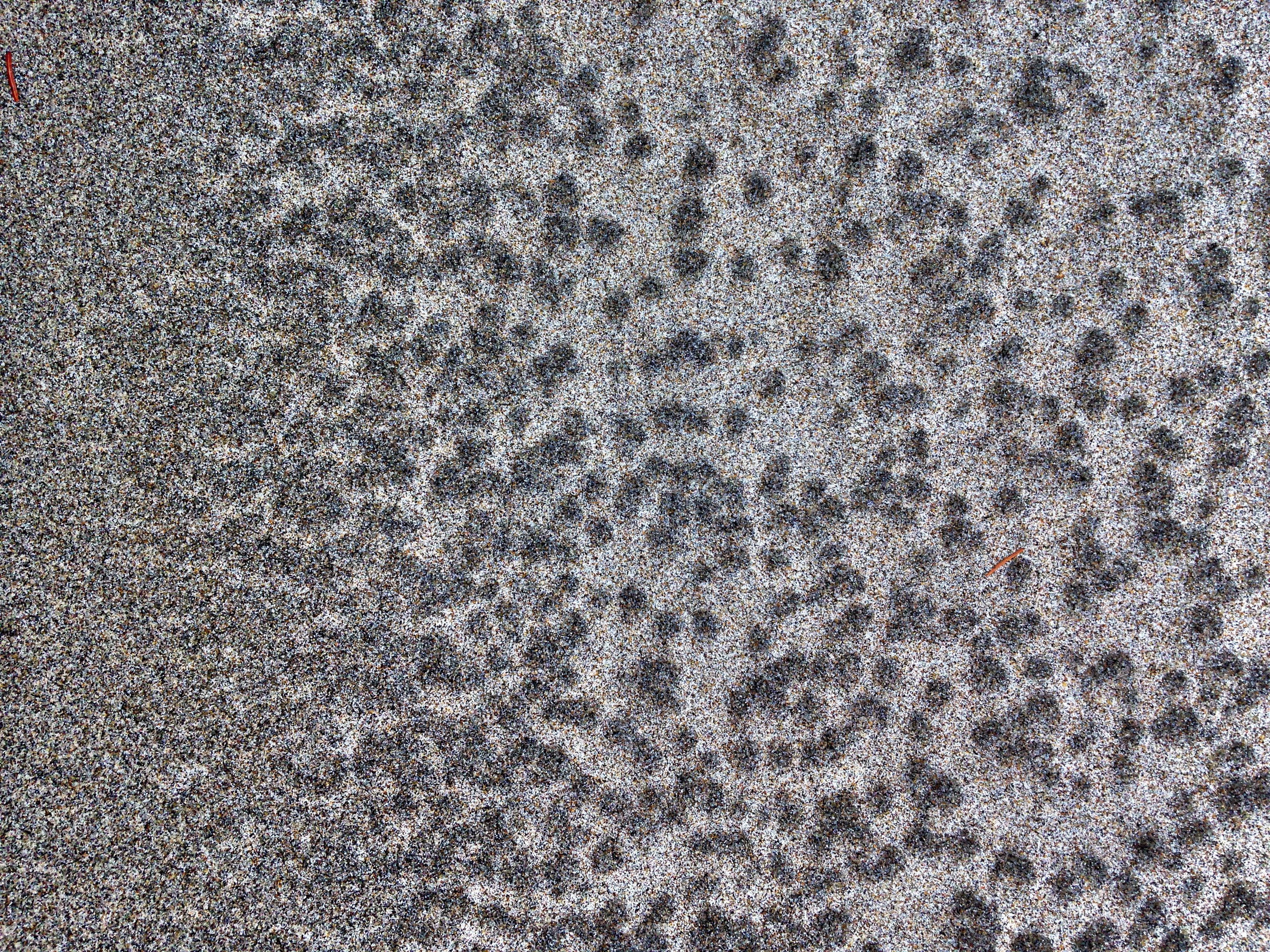Stippled sand patterns on the Oregon coast